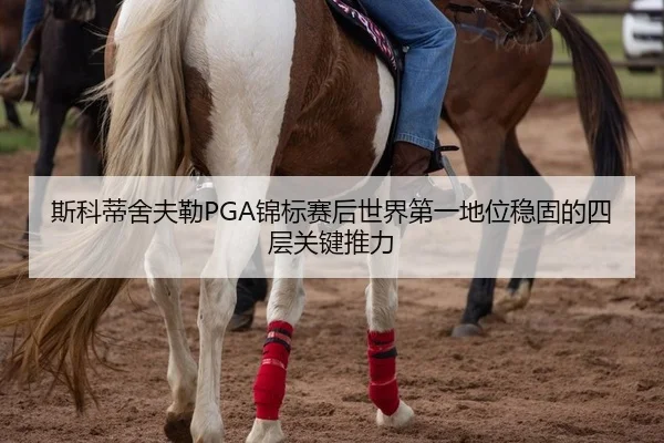 斯科蒂舍夫勒PGA锦标赛后世界第一地位稳固的四层关键推力